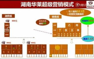 湖南华莱,农业科技创新的先锋-企业实力与产品优势解析