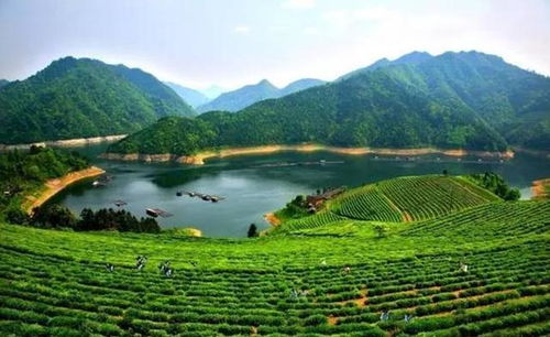 湖南铜仁旅游攻略,探索自然与文化宝藏-最佳旅游路线解析