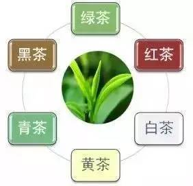湖南特色茶叶,品味湘韵茶香-湖南茶叶种类与品鉴指南