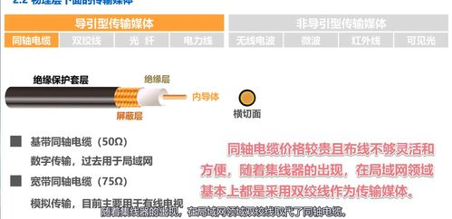 稻湖南技术创新与实践应用-农业发展新篇章