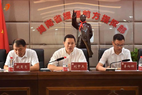湖南援疆：携手共进，促进区域发展-援助策略与成效分析