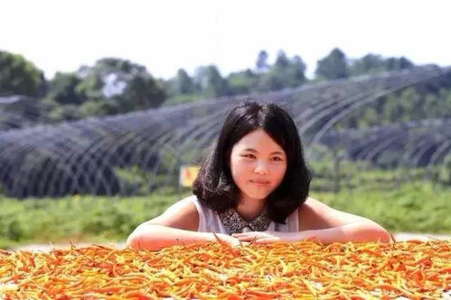 张丽湖南菜,传统与创新的美食融合-品味湖南独特风味