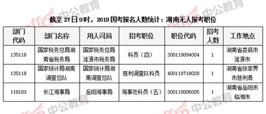 湖南省统计工作现状与挑战解析-提升数据质量与效率