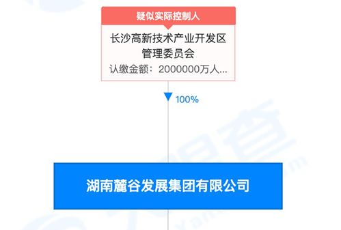 湖南国资监管机制,功能与作用解析-推动地方经济发展