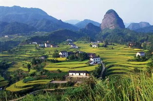 焦湖南旅游攻略, 自然风光与人文历史完美融合-深度游指南