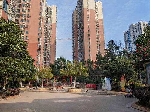 长沙小区建设特点与购房指南-居住环境解析