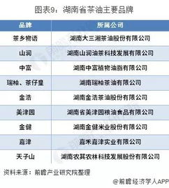 湖南省就业现状与政策扶持-市场趋势分析