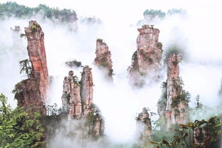 宝藏湖南，探寻自然与文化之美-湖南旅游景点解析