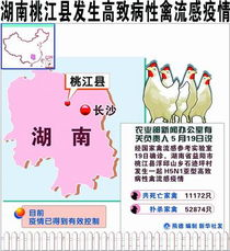 湖南禽流感疫情分析与防控措施-养殖业挑战与解决方案