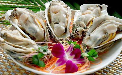 湖南蚝,地域美食文化的瑰宝-烹饪与营养解析