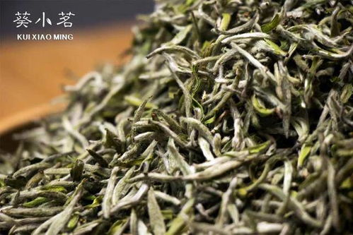 湖南白茶,传统工艺与品鉴之道-深度解析与欣赏