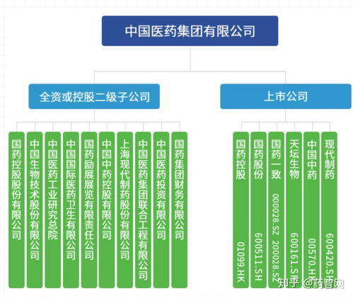 湖南医药公司,区域医疗供应链的关键一环-运营与服务深度解析