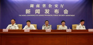 湖南监管局,地方金融稳定保障-监管策略与实践分析