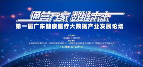 湖南新浪,互联网服务深度解析-湖南省网络发展新篇章