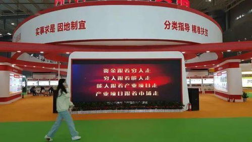 湖南农博会,农业成果展示与交易-湖南农业产业盛会解析