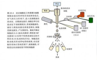 湖南磁浮技术解析,高速交通新篇章-发展优势与未来展望