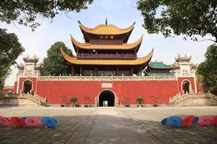 湖南岳阳特产,探寻地方美味与文化瑰宝-特色产品解析