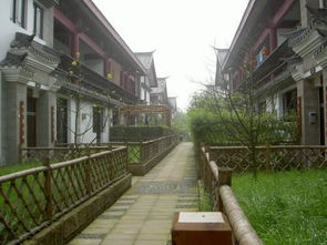 湖南芙蓉古镇,探寻历史与现代交融的奇妙之地-旅游攻略解析