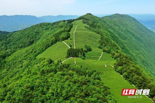 桦湖南旅游攻略与可持续旅游实践-自然风光与生态保护解析