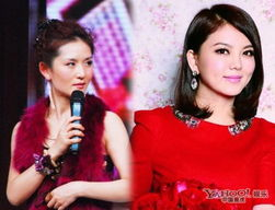 李湘与湖南卫视的传奇故事-深度解析二者不解之缘
