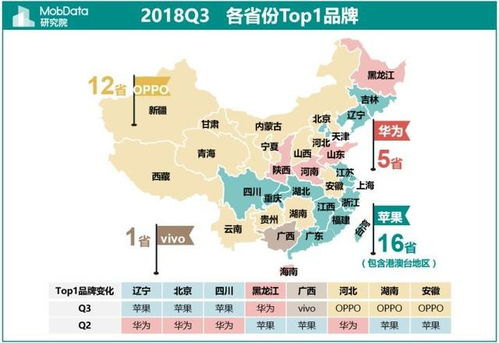 湖南OPPO市场现状与用户偏好解析-销售策略深入探究
