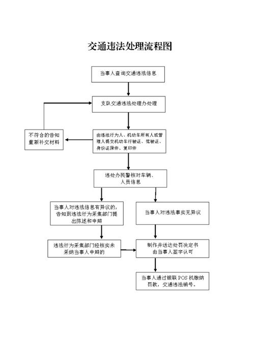 湖南交通违章处理与预防措施解析
