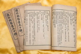 湖南九芝堂,传统制药工艺的现代化传承-品牌发展解析
