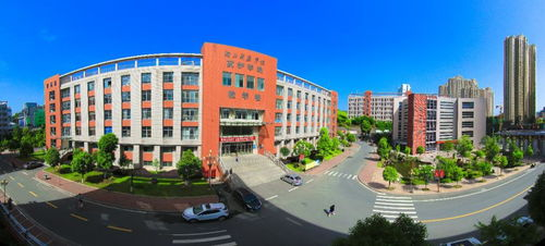 湖南医药学校,专业医学教育-教育质量与就业前景分析