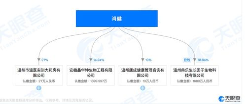 湖南亚太,多元化业务发展-企业实力与市场策略解析