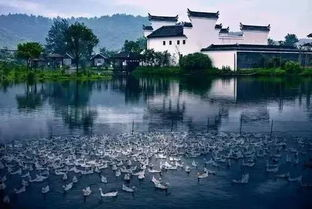湖南柳叶湖旅游攻略-美景与活动一览