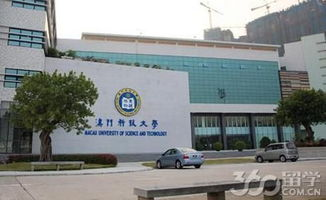湖南大学美女,校园文化魅力展现-湖南大学美女特点分析