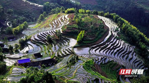 湖南旅游攻略,探索美食与美景-旅行规划指南
