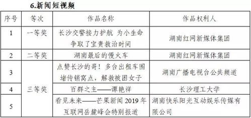 湖南橡胶厂：产业发展与技术革新-行业领先企业解析