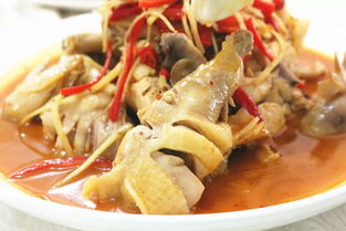 湖南东安鸡，传统美食的现代解读-烹饪技巧与食材选择