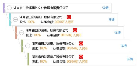 湖南文化传媒有限公司,企业文化传播-发展策略与优势分析