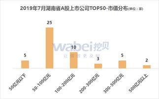湖南上市公司名单与经济影响力分析-行业分布与增长潜力