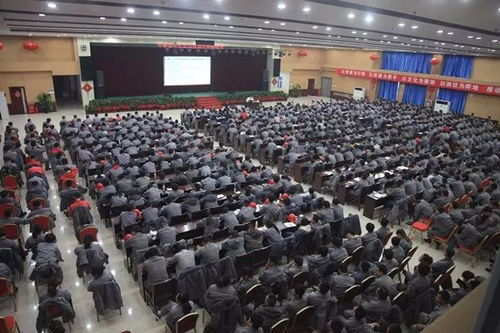 湖南中泰房产开发策略与项目案例解析-企业实力与未来发展