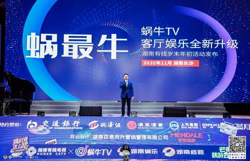 湖南有线集团,领先的有线电视网络运营商-综合信息服务解析