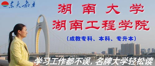 湖南省成人教育发展现状与提升策略-全面解析