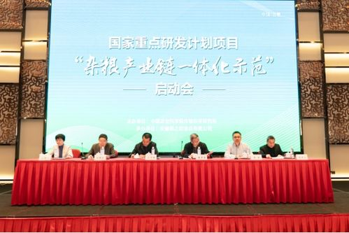湖南百人计划,助力湖南人才引进与科技创新-实施策略与成效分析