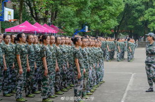 湖南农业大学军训,新生必备挑战-全面准备指南