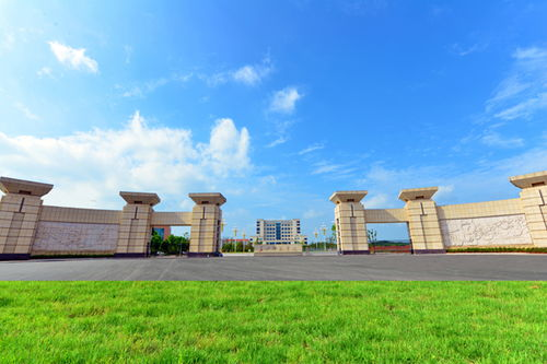 湖南大学南门,校园文化象征-建筑特色与历史沿革解析