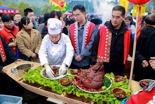 湖南卫视美食节目,探寻湘味美食-精彩内容解析