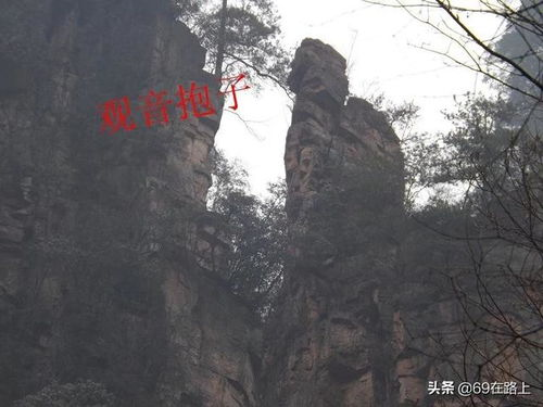 湖南魅力的深度探索：自然风光、历史文化与湘菜美食解析