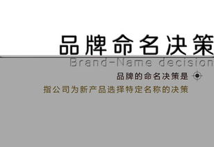 討債公司的命名原則