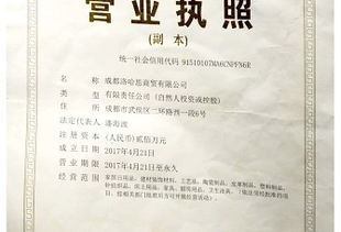 成都討債公司概述