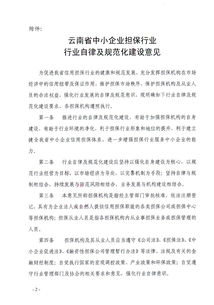 行業(yè)規(guī)范與自律
