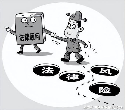法律風險與合規(guī)性