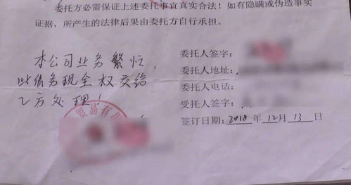 討債公司違法行為的法律責(zé)任