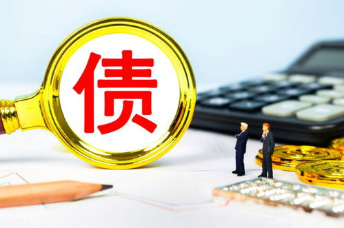 債務(wù)的性質(zhì)